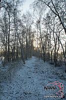 20121206_Nat49_C0005