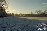 20121206_Nat49_C0006