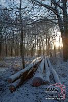 20121206_Nat49_C0007
