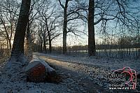 20121206_Nat49_C0009
