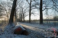 20121206_Nat49_C0010
