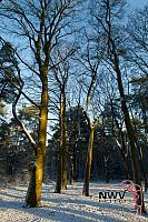 20121206_Nat49_C0011