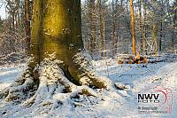 20121206_Nat49_C0012