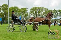 20150509 Sp19 F0001