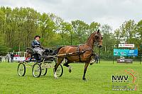 20150509 Sp19 F0002