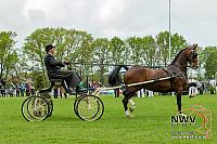 20150509 Sp19 F0003