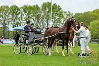 20150509 Sp19 F0005