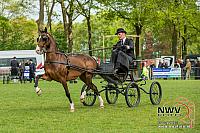 20150509 Sp19 F0008