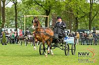 20150509 Sp19 F0010