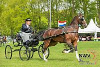 20150509 Sp19 F0011